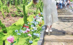 上海有一条女性深夜叫车专用热线